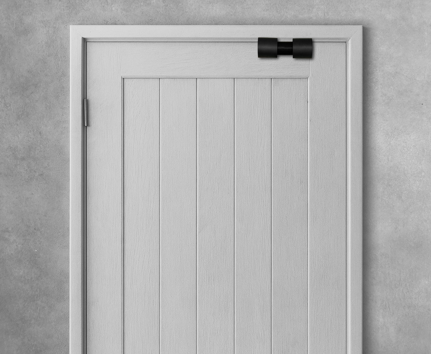 ZypRoller™ Standard Edition - R10 (Pro)