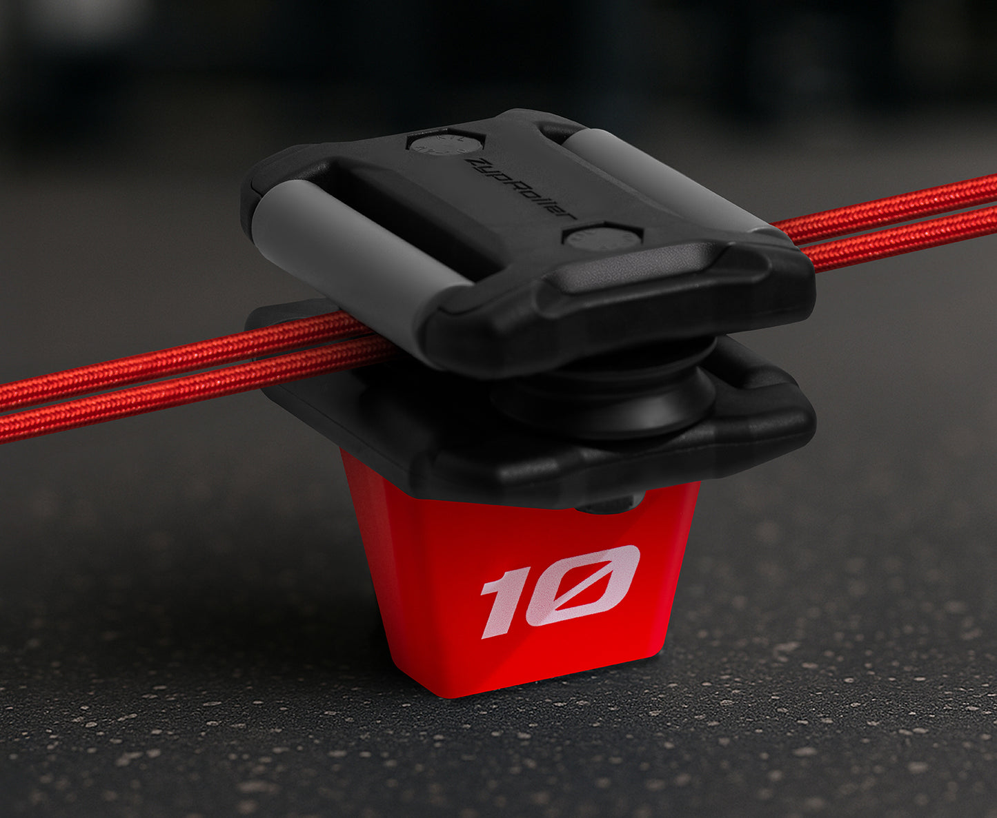 ZypRoller™ Standard Edition - R10 (Pro)
